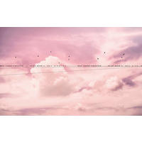 Komar Fototapete Cloud Wire B/L: ca. 400x250 cm Cloud Wire - (400,00/250,00cm) - Komar