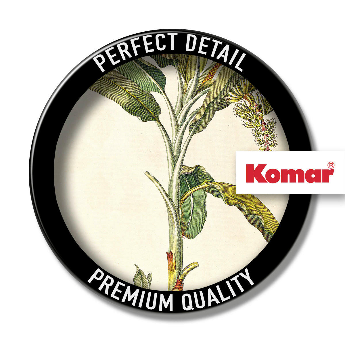 Komar Poster Rainforest Sapling Pflanzen B/L: ca. 30x40 cm Rainforest Sapling - (30,00/40,00cm) - Komar