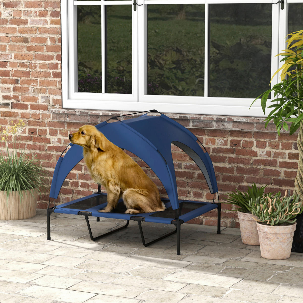 PawHut Hunde-Zubehör blau Edelstahl B/H/L: ca. 76x106x94 cm Erhöhtes_Hundebett - blau (94,00/76,00/106,00cm) - PawHut