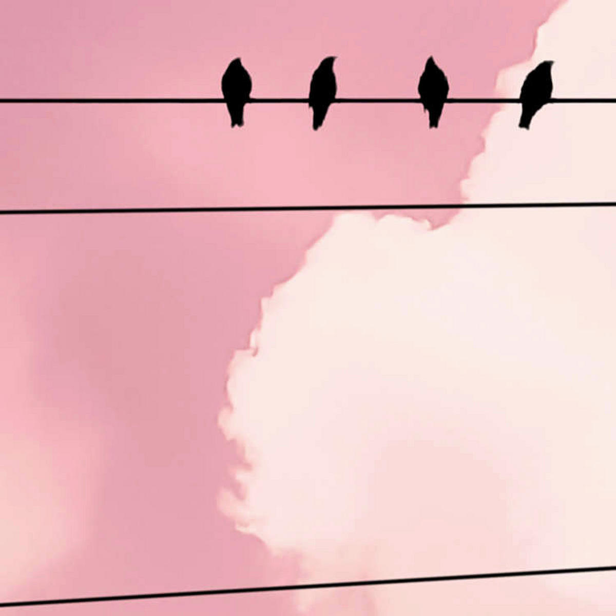 Komar Fototapete Cloud Wire B/L: ca. 400x250 cm Cloud Wire - (400,00/250,00cm) - Komar