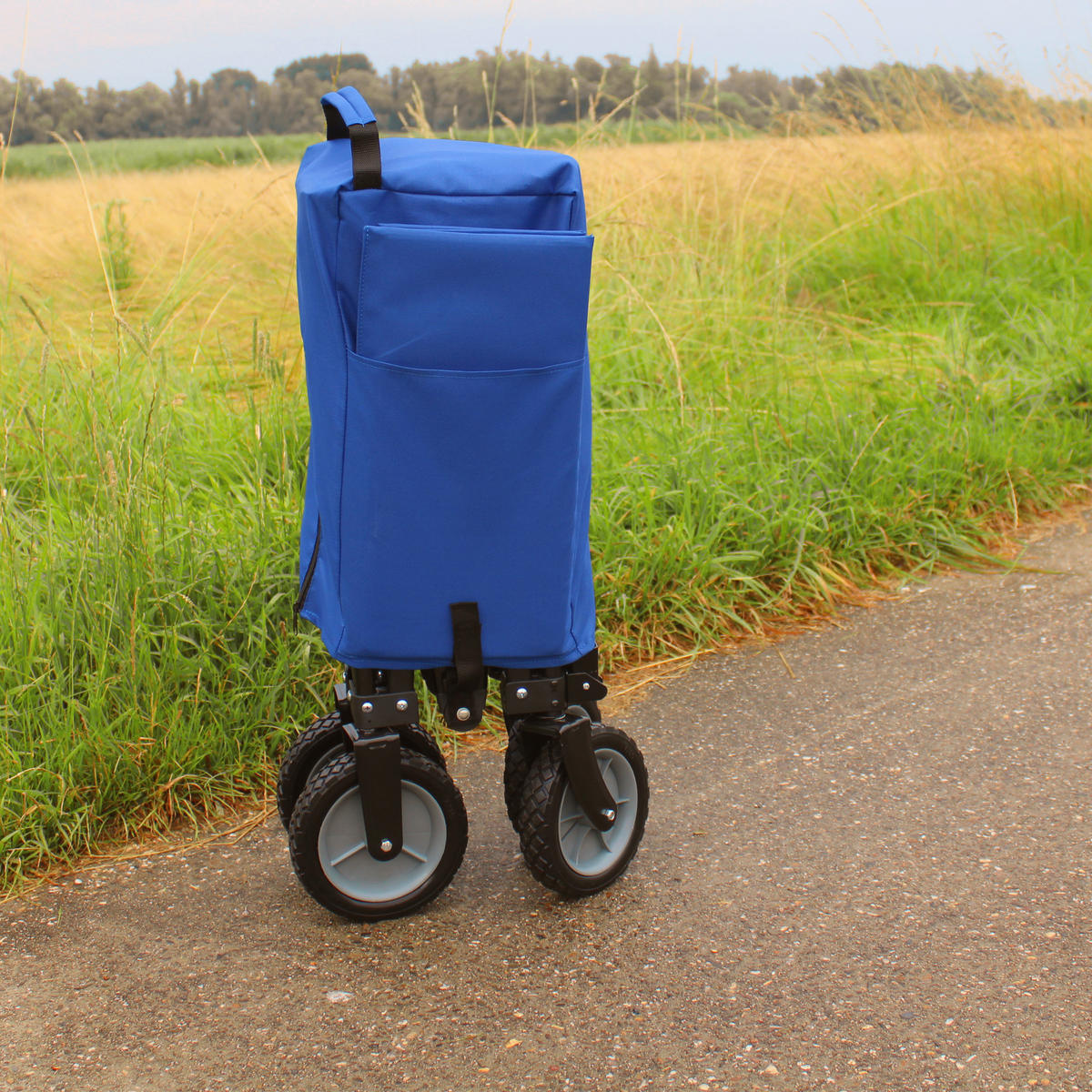 AXI Bollerwagen AB110 blau B/H/L: ca. 50x61x100 cm AB110 - blau (100,00/50,00/61,00cm) - AXI