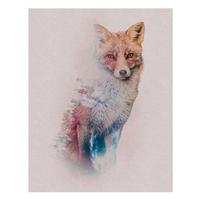 Komar Poster Animals Forest Fox Waldtiere B/L: ca. 40x50 cm Animals Forest Fox - (40,00/50,00cm) - Komar