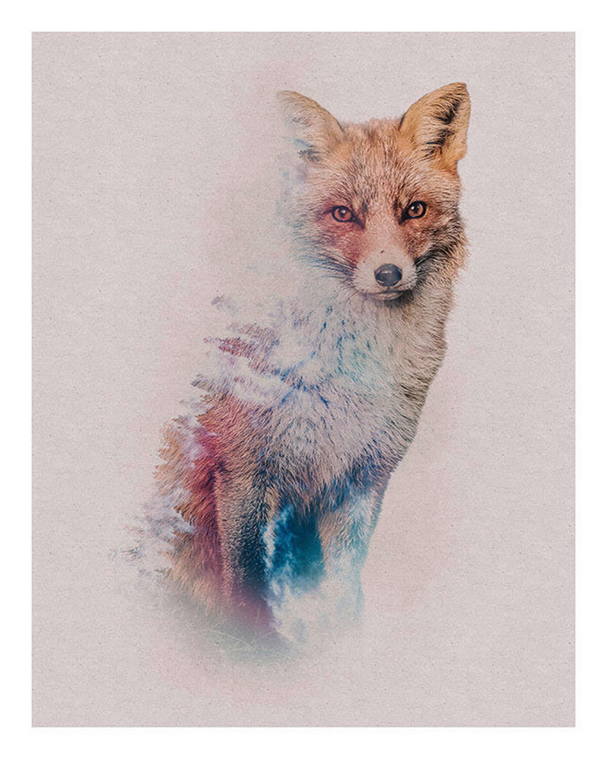 Komar Poster Animals Forest Fox Waldtiere B/L: ca. 40x50 cm Animals Forest Fox - (40,00/50,00cm) - Komar