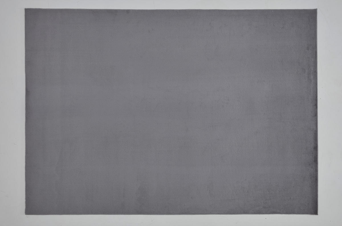 Teppich Pisa silber B/L: ca. 120x160 cm Pisa - silber (120,00/160,00cm)