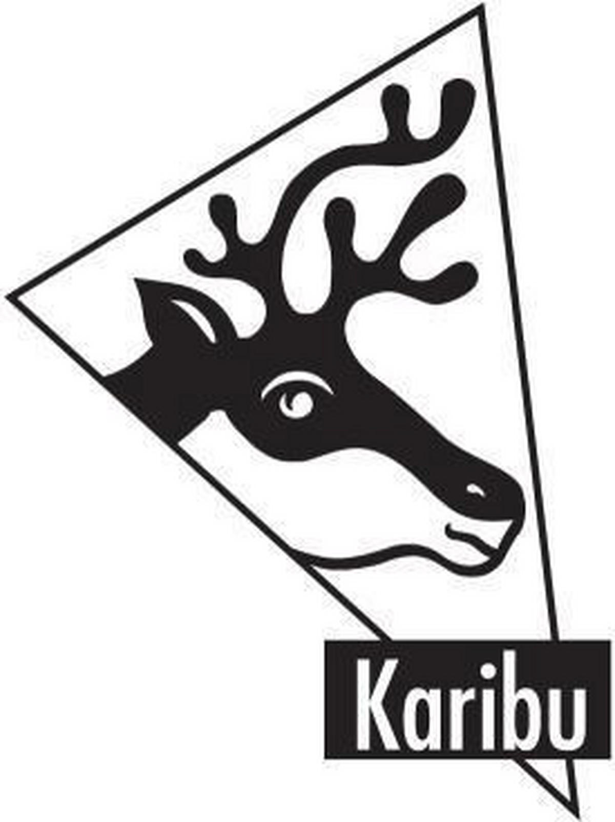 Karibu Hochbeet natur Fichte B/H/T: ca. 98x64x65 cm Hochbeet_0 - natur (98,00/64,00/65,00cm) - Karibu