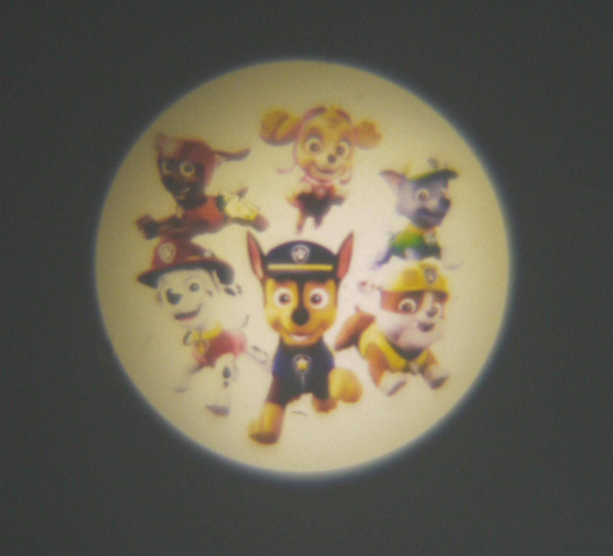 Niermann Stecker-Nachtlicht Paw Patrol 80047 dunkelblau rot Kunststoff Stecker-Nachtlicht_Paw_Patrol - rot/dunkelblau - Niermann