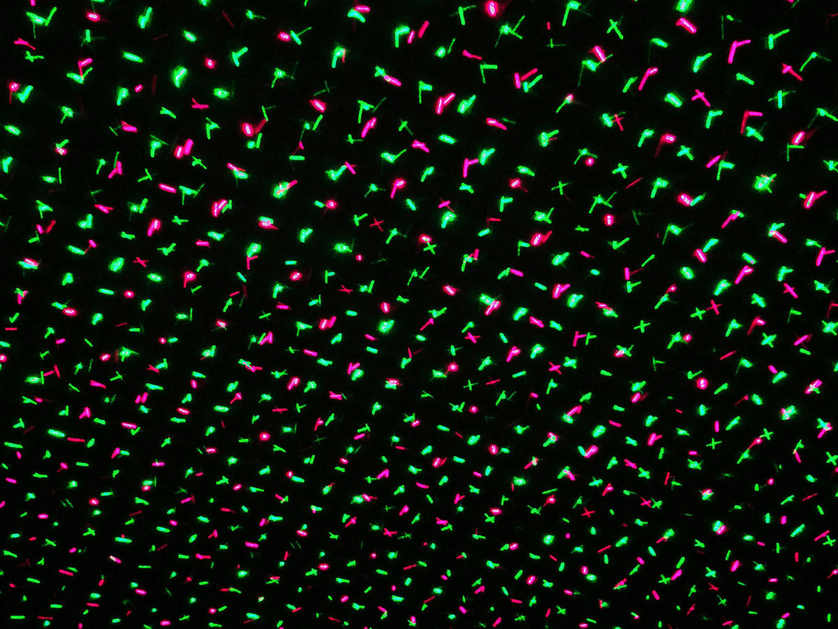 LED-Laser Erdspieß mit LED 5200861 H/D: ca. 40x10 cm LED Laser Erdspieß mit LED - (10,00/40,00cm) - Näve Leuchten