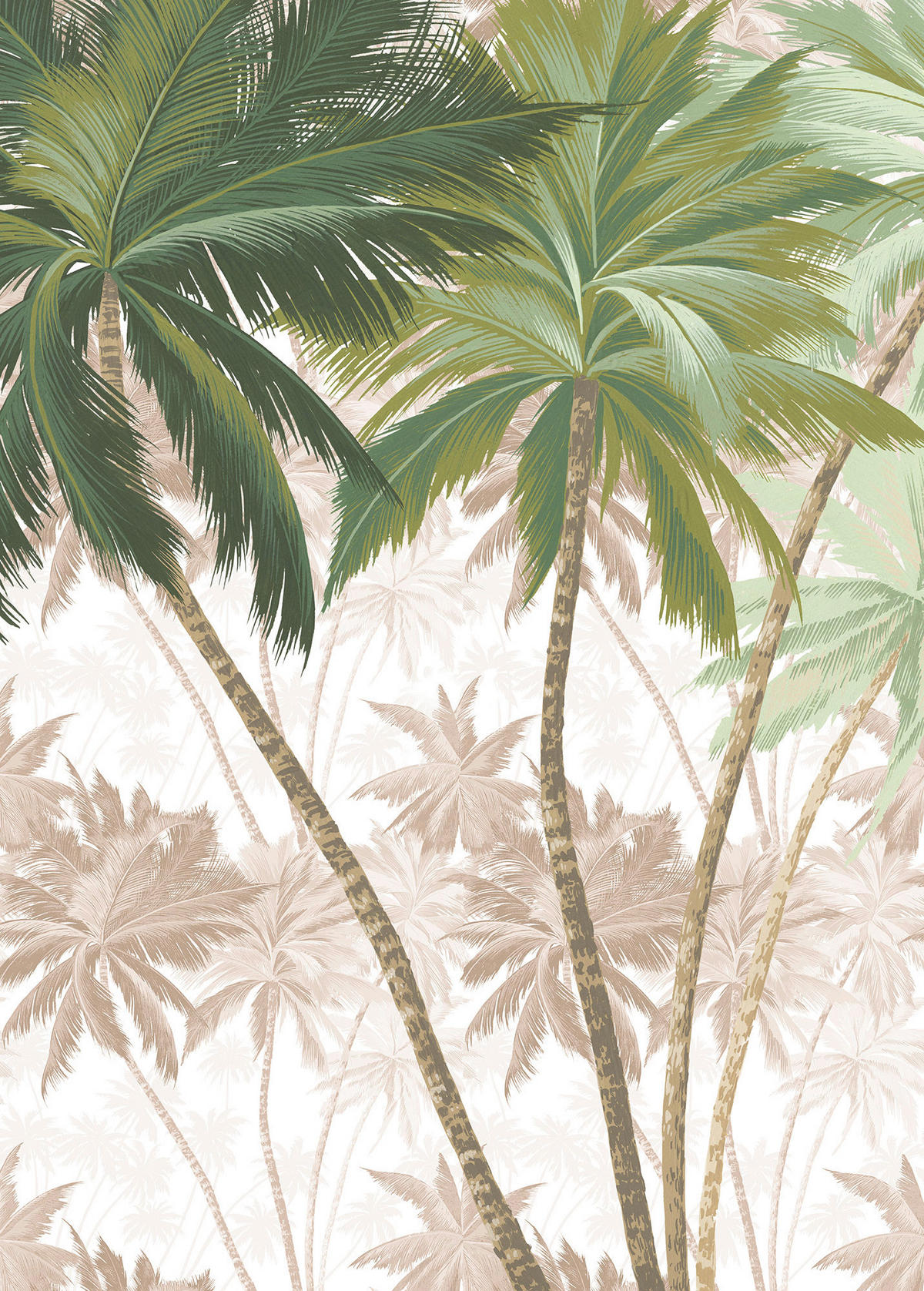 Komar Fototapete Palmera B/L: ca. 200x280 cm Palmera - (200,00/280,00cm) - Komar