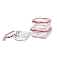 BERGNER Vorratsdosenset Go lovers rot Go lovers - rot/transparent - BERGNER
