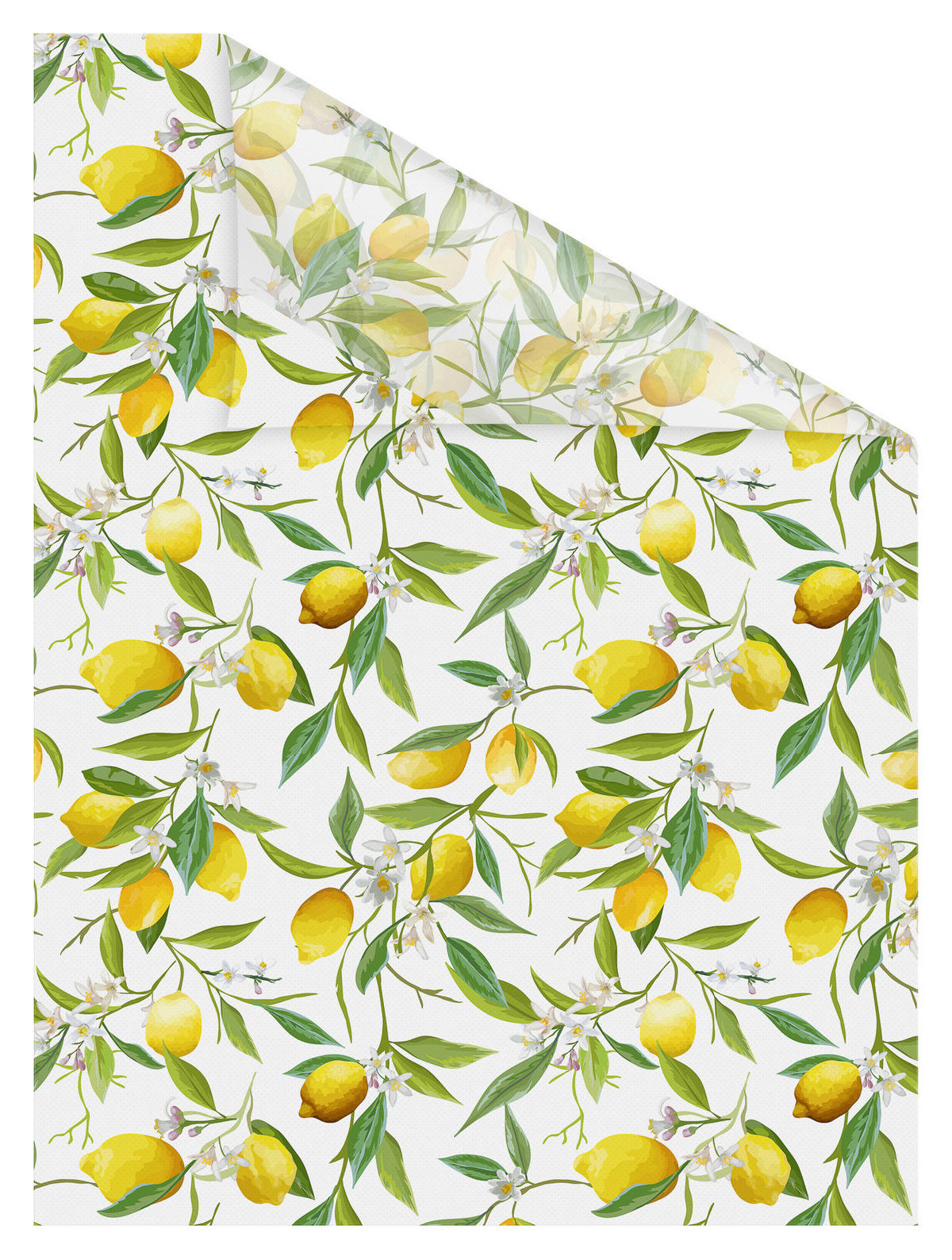 LICHTBLICK Fensterfolie Limone  Limone gelb grün B/L: ca. 50x50 cm Limone - gelb/grün (50,00/50,00cm) - LICHTBLICK