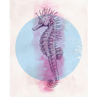 Komar Poster Sea Horse Circle Tiere B/L: ca. 40x50 cm Sea Horse Circle - (40,00/50,00cm) - Komar