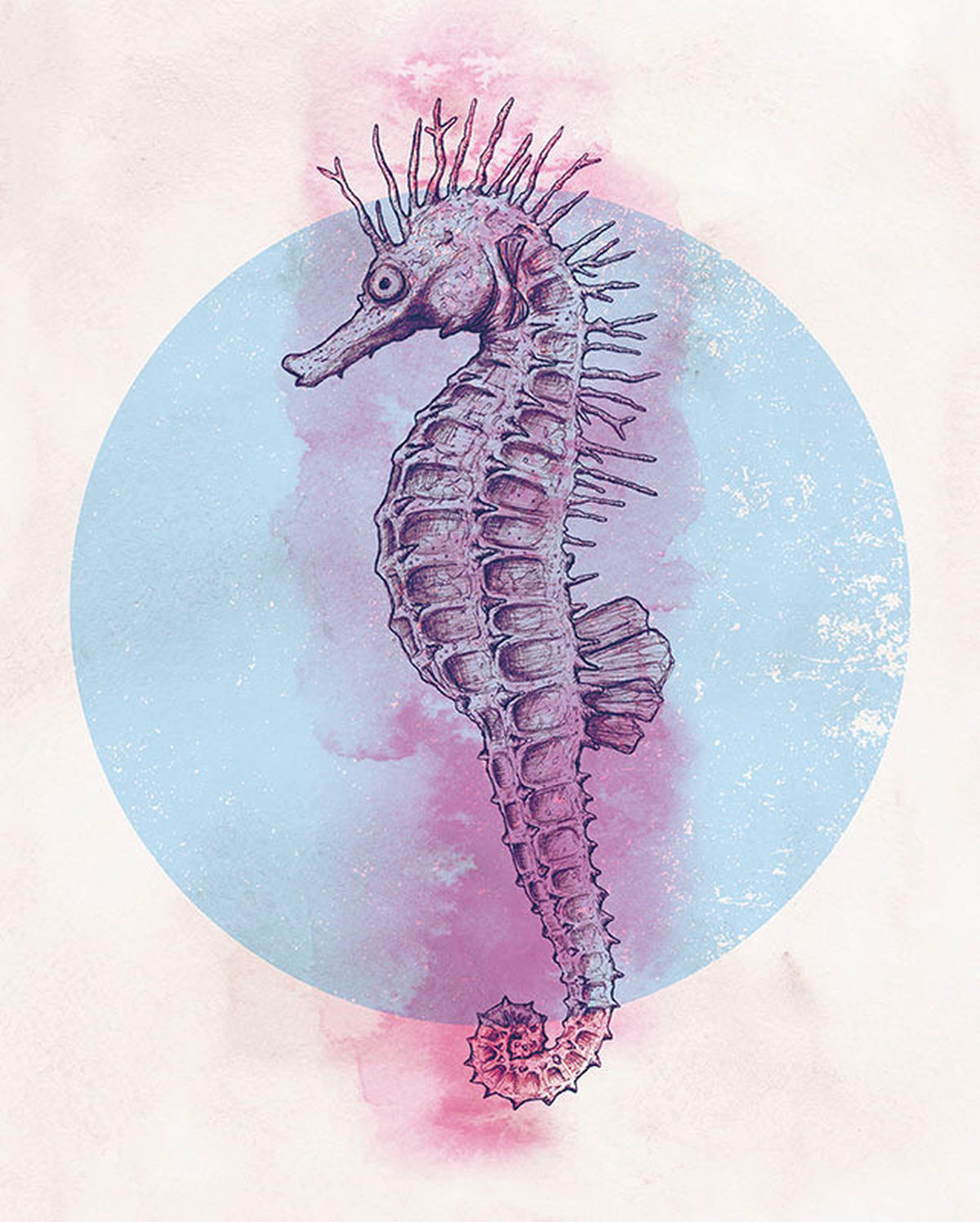 Komar Poster Sea Horse Circle Tiere B/L: ca. 40x50 cm Sea Horse Circle - (40,00/50,00cm) - Komar