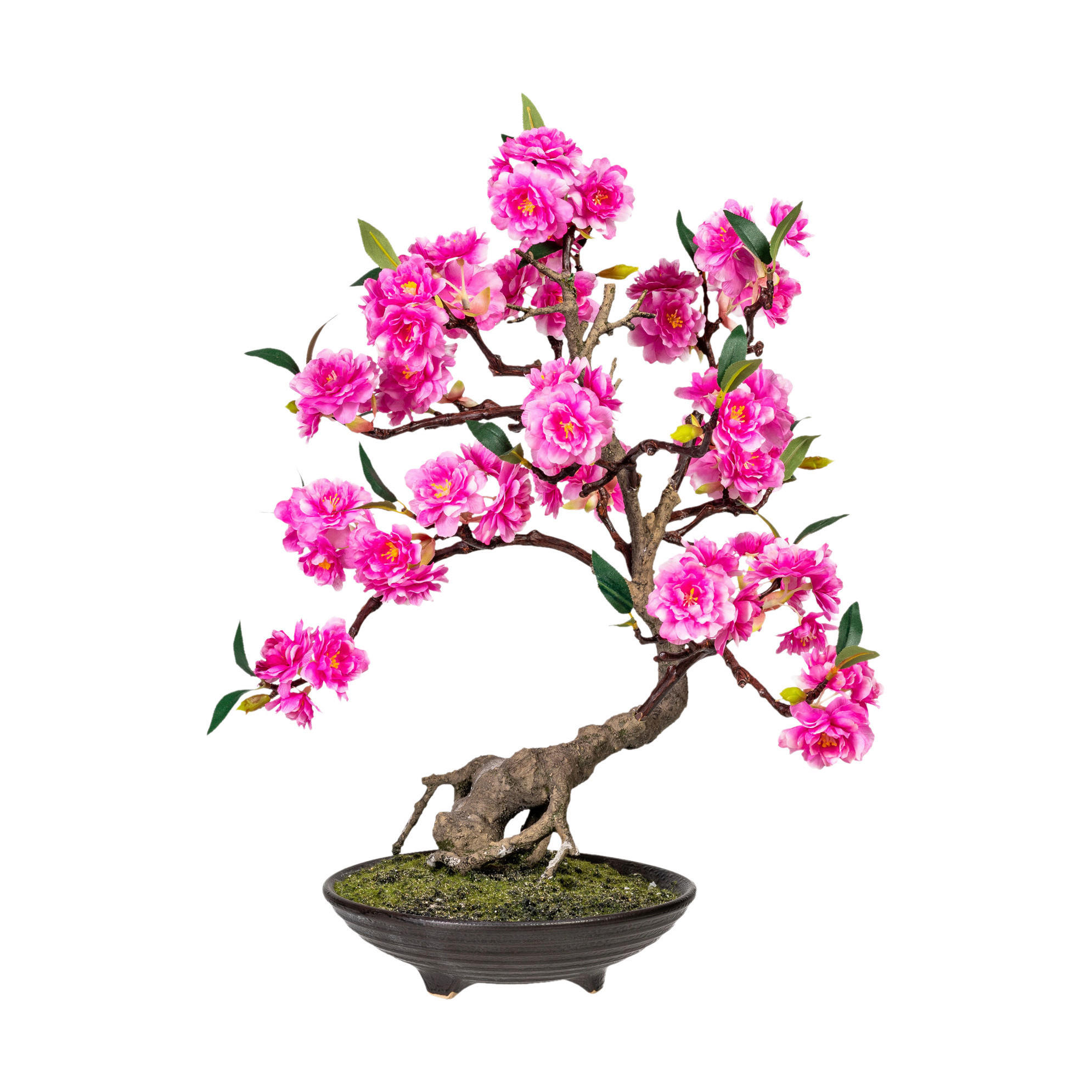 Kunstpflanze Bonsai Cerasum pink Kunststoff B/H/L: ca. 28x52x28 cm Bonsai Cerasum - pink (28,00/28,00/52,00cm)