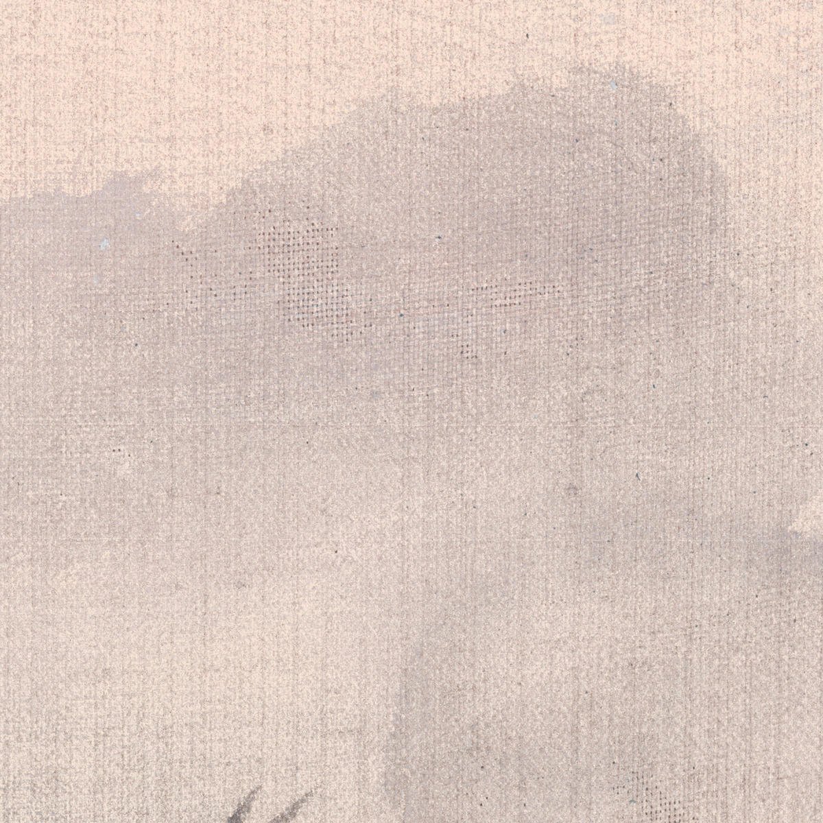 Komar Fototapete Mandarin Morning B/L: ca. 900x280 cm Mandarin Morning - (900,00/280,00cm) - Komar