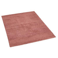 Langflorteppich Tiamo rosa B/L: ca. 120x170 cm Tiamo - rosa (120,00/170,00cm)