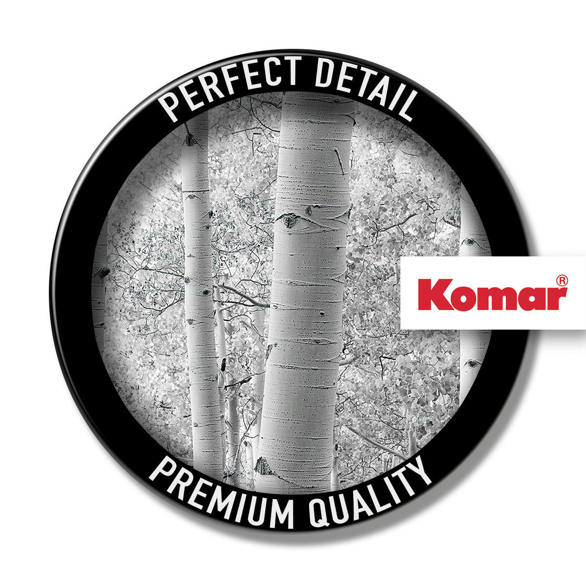 Komar Fototapete Espenwald B/L: ca. 450x280 cm Espenwald - (450,00/280,00cm) - Komar