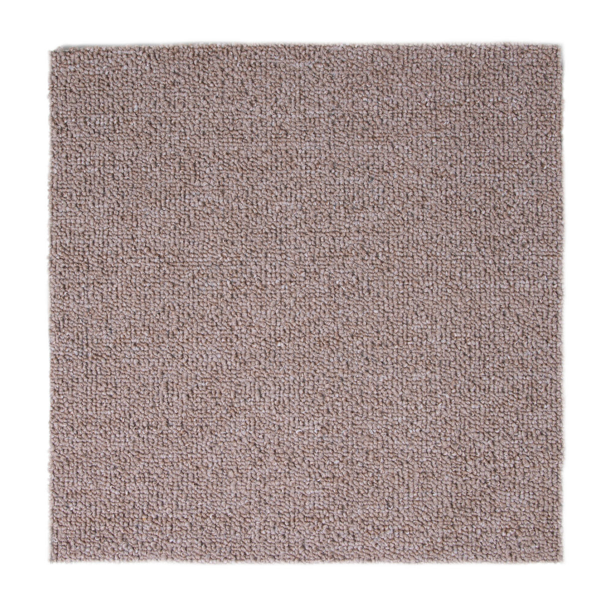 Teppichboden Mirabell beige B/L: ca. 400x400 cm pro Stück Mirabell - beige (400,00/400,00cm)