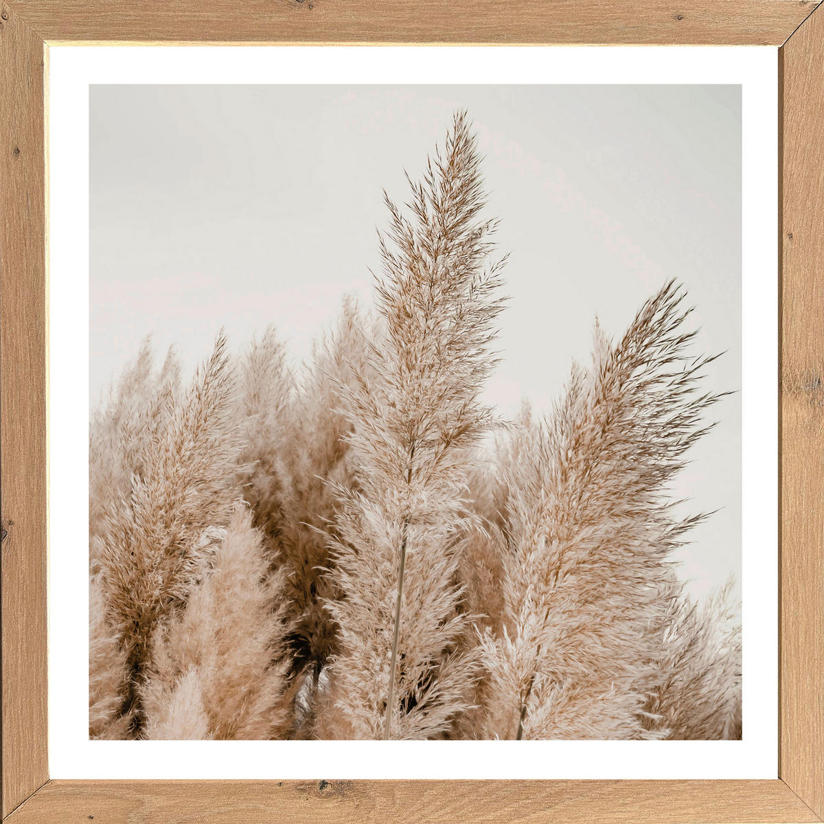 Gerahmtes Bild Bild_Cheb 35x35cm - (35,00/35,00cm)