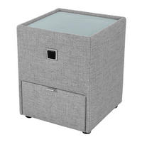 Nachtkonsole  grau Lancy_Nachtkonsole 369/09 - grau (44,50/53,00/44,50cm)