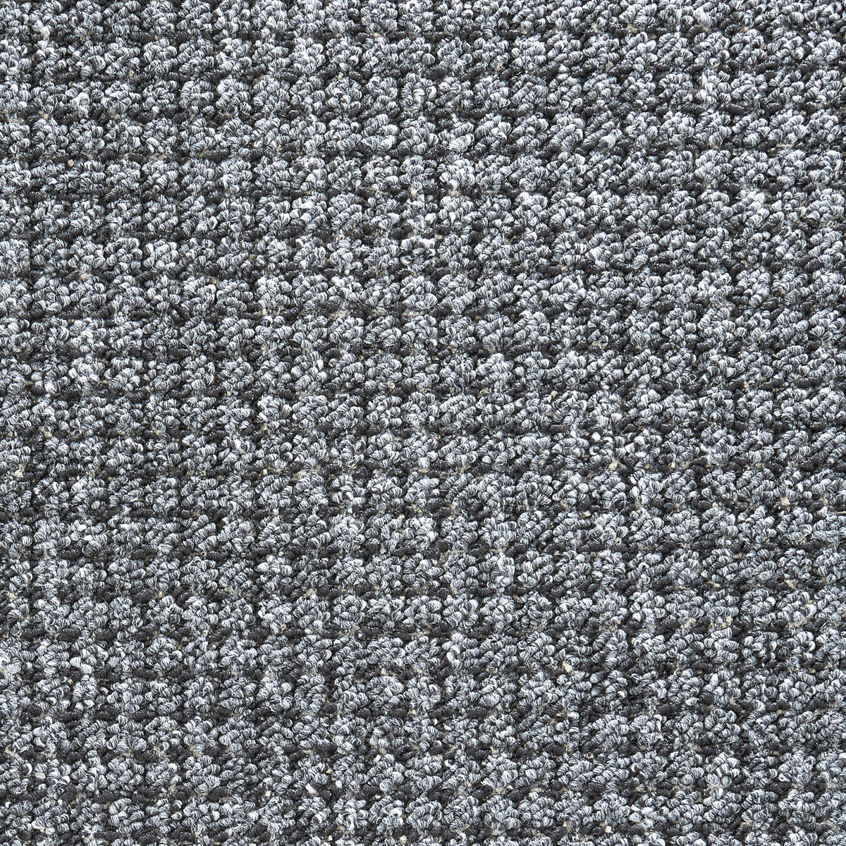 Teppichboden Chester anthrazit B: ca. 400 cm pro m² Chester - anthrazit (400,00cm)