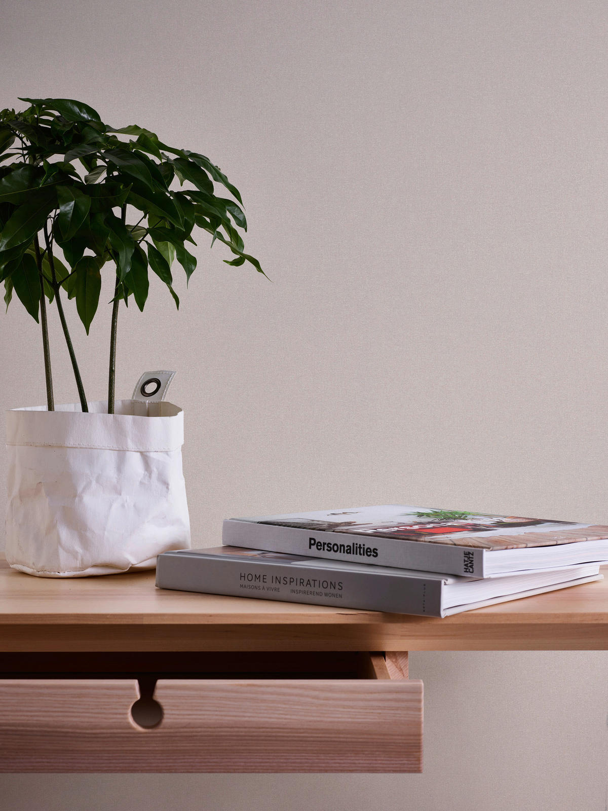 A.S.Creation Vliestapete Terra Uni beige B/L: ca. 53x1005 cm Terra - beige (53,00/1005,00cm) - A.S.Creation