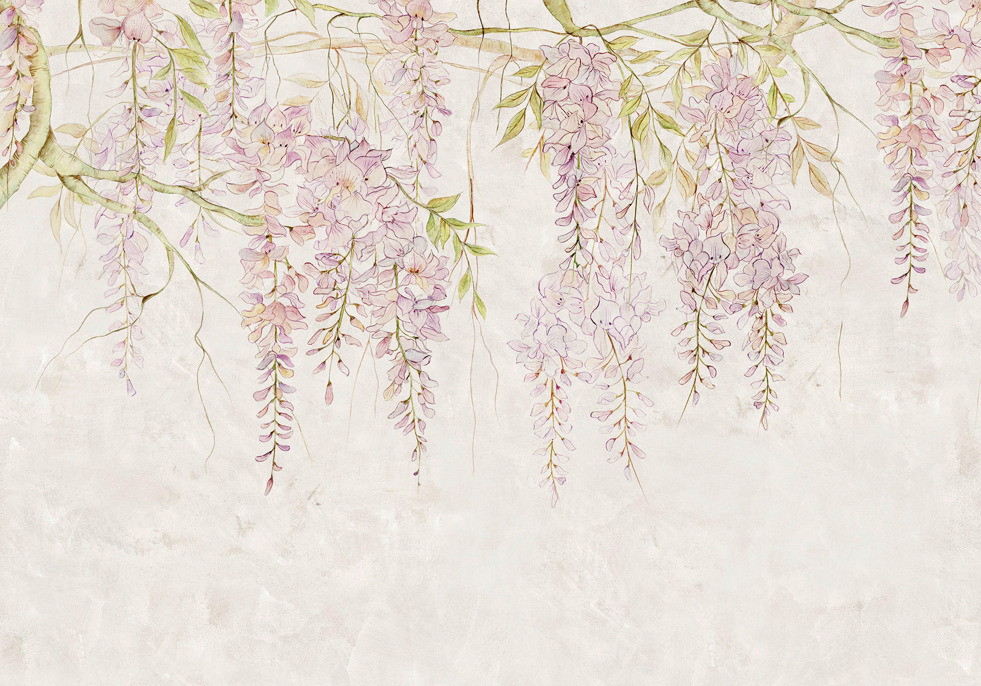 Komar Fototapete Wisteria B/L: ca. 400x280 cm Wisteria - (400,00/280,00cm) - Komar