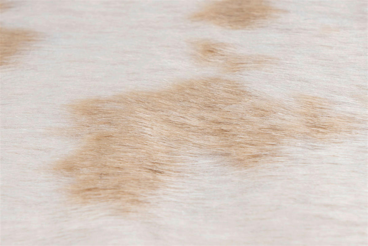 Kayoom Kurzflorteppich Philippines - Manila Cow Beige beige B/L: ca. 150x200 cm Philippines - Manila Cow Beige - beige (150,00/200,00cm) - Kayoom