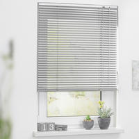 Alu-Jalousie silber B/L: ca. 40x60 cm Jalousie_Alu - silber (40,00/60,00cm) - LICHTBLICK