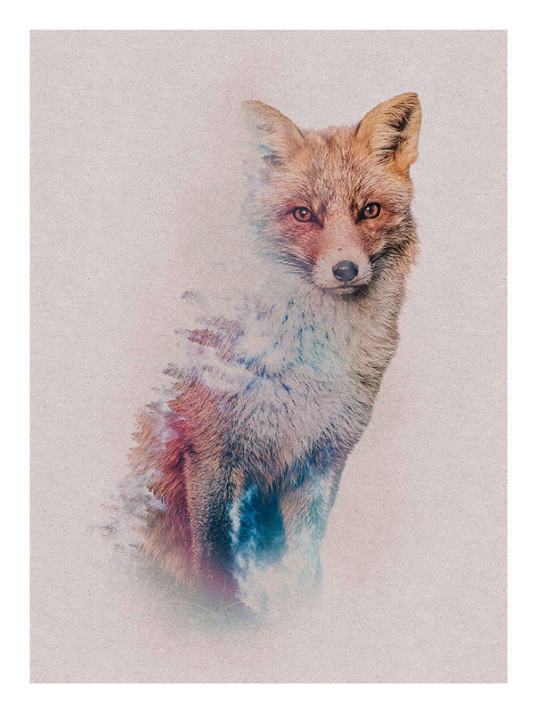 Komar Poster Animals Forest Fox Waldtiere B/L: ca. 30x40 cm Animals Forest Fox - (30,00/40,00cm) - Komar