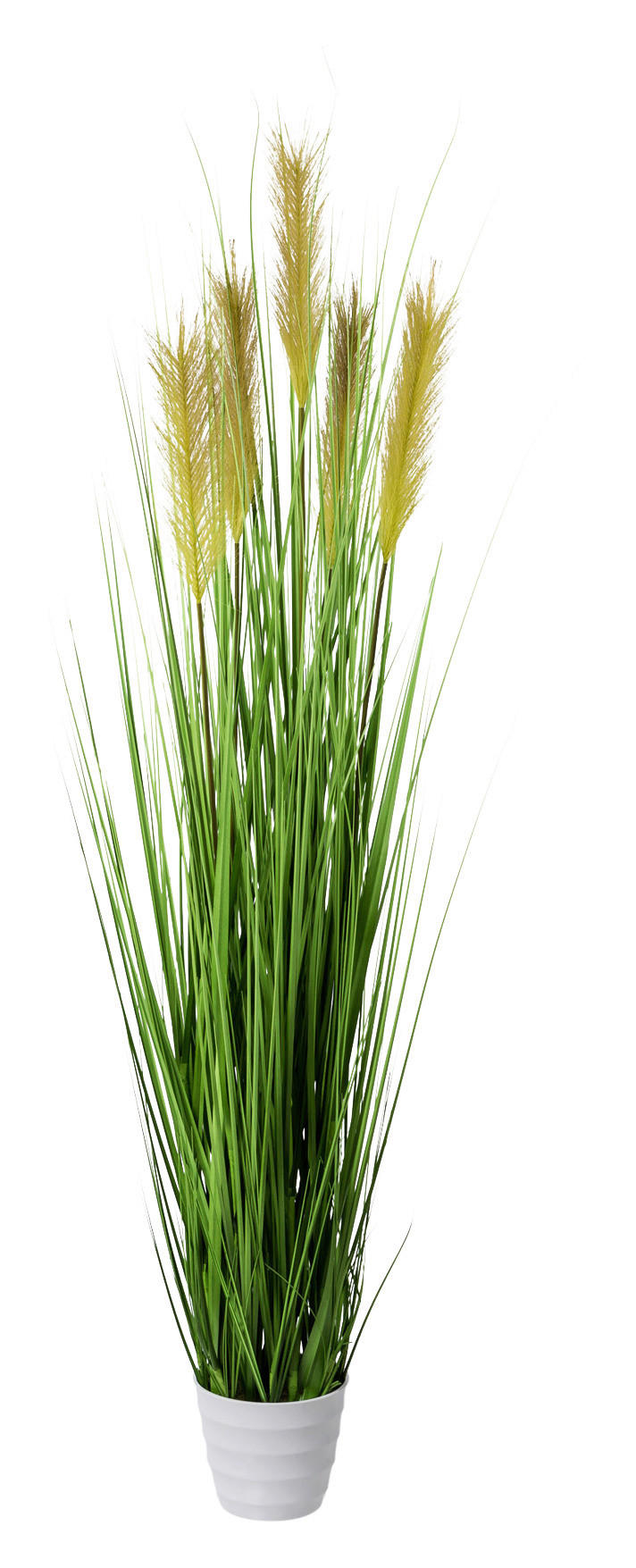 Grasarrangement grün Kunststoff H: ca. 150 cm Grasbusch - weiß/grün (150,00cm)