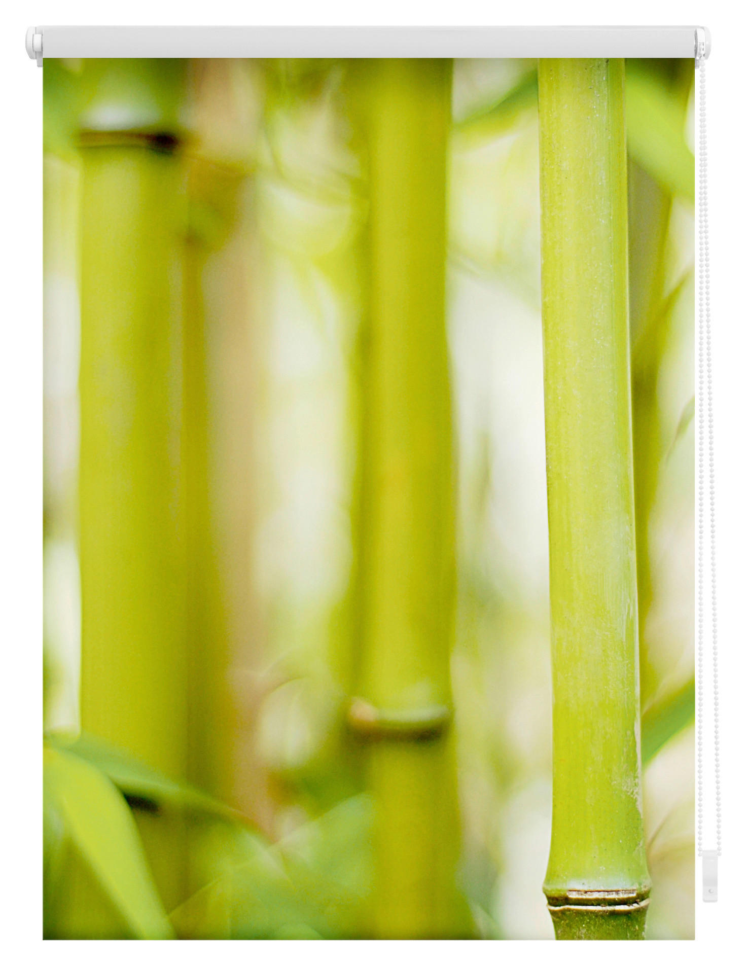 Thumbnail - LICHTBLICK Rollo Bambus grün B/L: ca. 100x150 cm