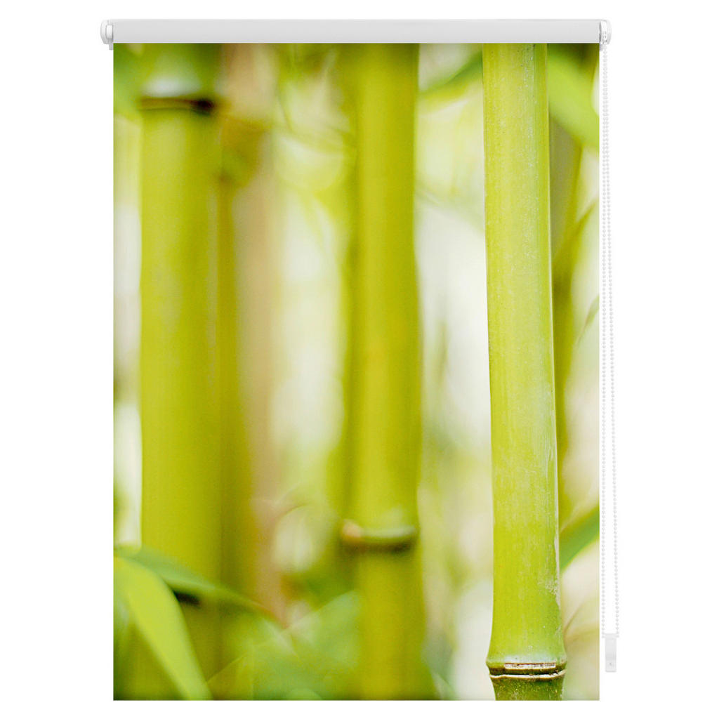 Thumbnail - LICHTBLICK Rollo Bambus grün B/T: ca. 80x150 cm