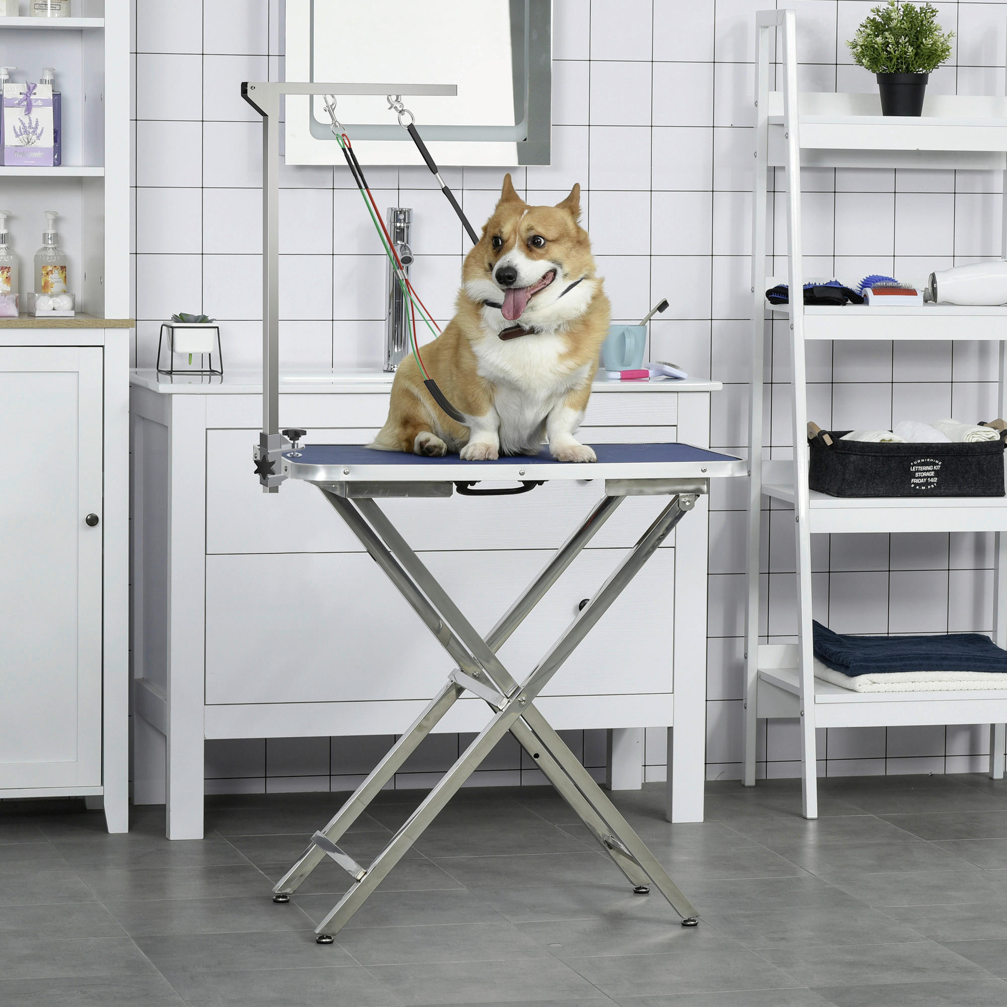 PawHut Haustier Fellpflege m. Klemme silber Aluminium B/H/L: ca. 8x36x74 cm Haustier_Fellpflege_Arm - silber (74,00/8,00/36,00cm) - PawHut
