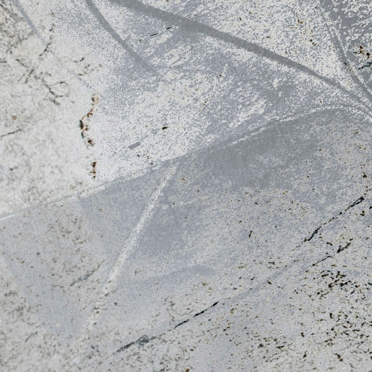 Komar Fototapete Flower Fossil B/L: ca. 200x280 cm Flower Fossil - (200,00/280,00cm) - Komar