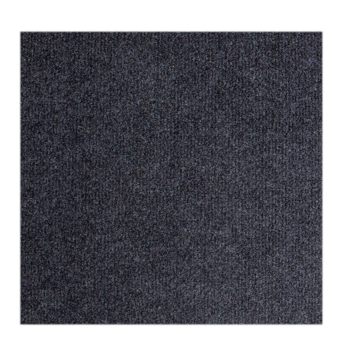 Teppichboden Milo anthrazit B/L: ca. 200x600 cm pro Stück Milo - anthrazit (200,00/600,00cm)