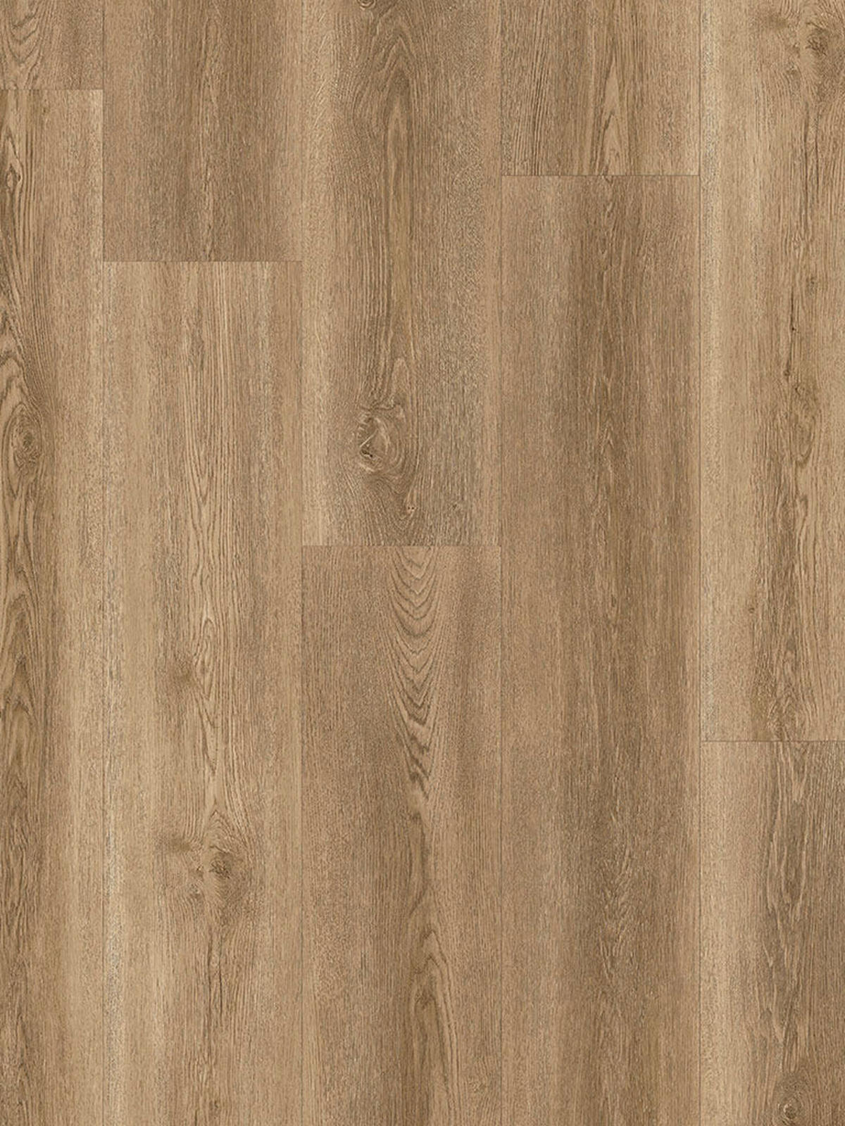 Musterstück Click-Vinyl Weserpark Eiche Eiche B/L/S: ca. 22x32x0,45 cm Weserpark Eiche - Eiche (22,00/32,00cm)