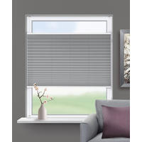 Thermo Spann-Plissee Verdunklungsqualität anthrazit B/L: ca. 50x130 cm Spannplissee_Thermo - anthrazit (50,00/130,00cm) - ACUS design collection