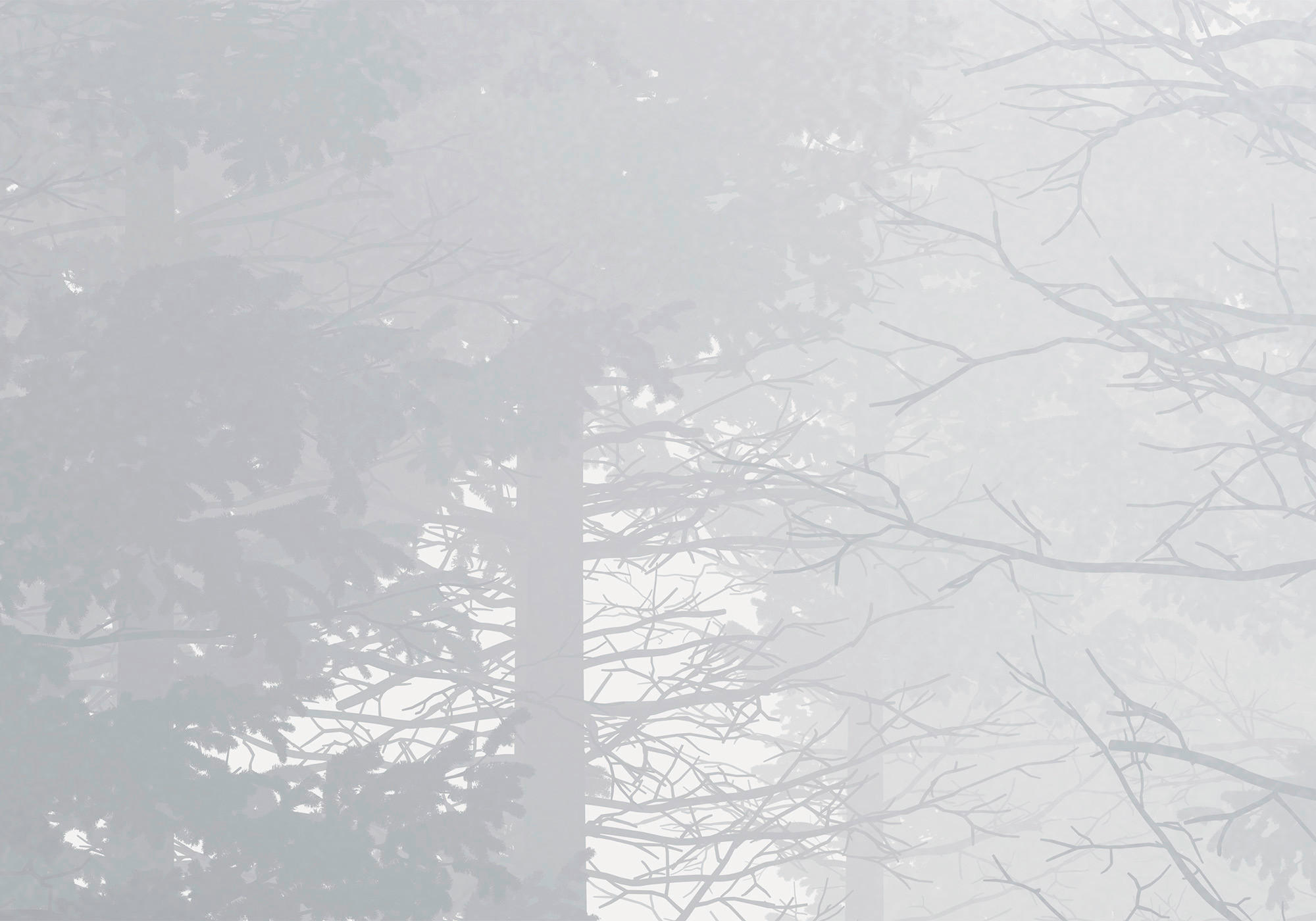 Komar Fototapete Silver Haze B/L: ca. 400x280 cm Silver Haze - (400,00/280,00cm) - Komar