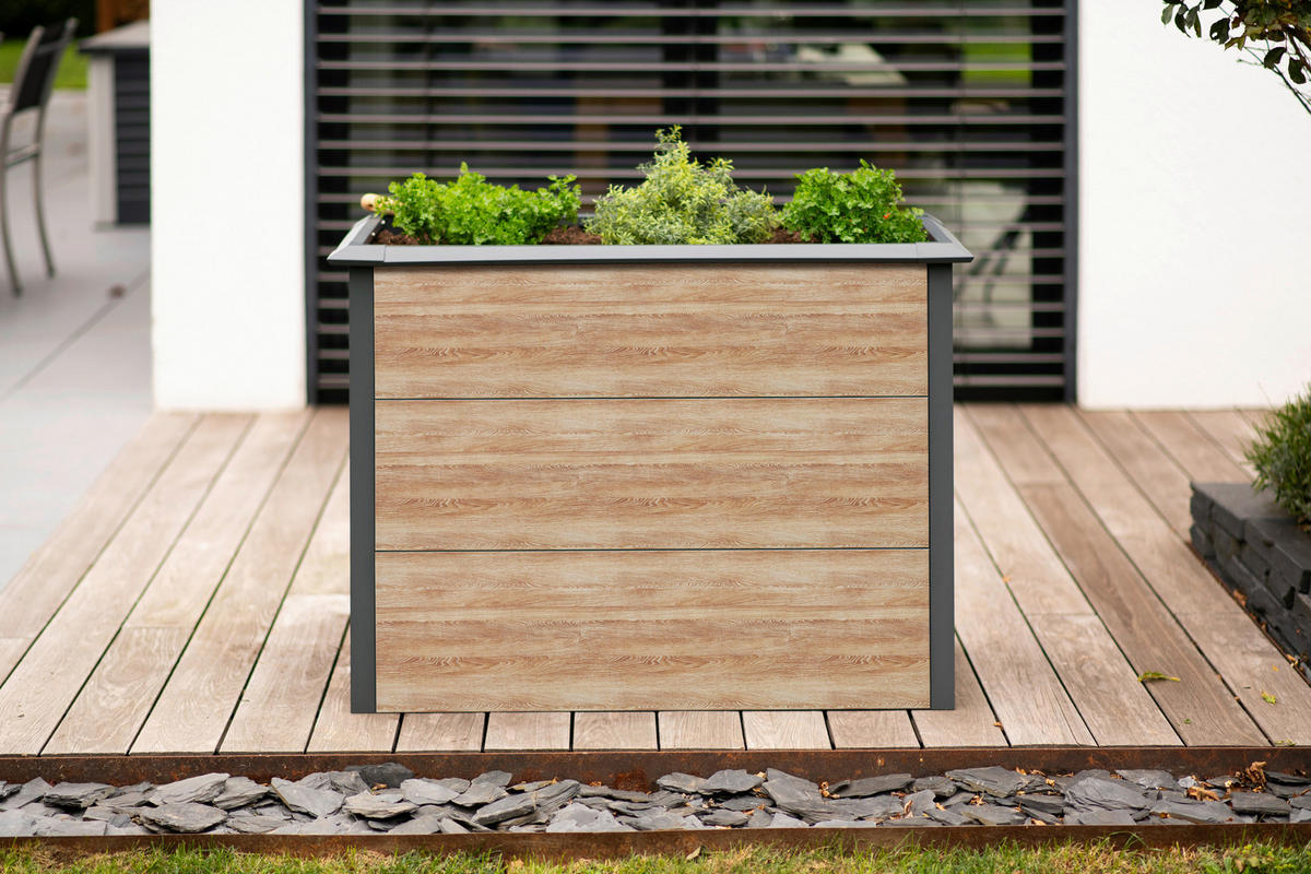 Westmann Hochbeet Primus-Multi M natur Metall B/H/L: ca. 100x77x50 cm Primus-Multi M - natur (50,00/100,00/77,00cm) - Westmann