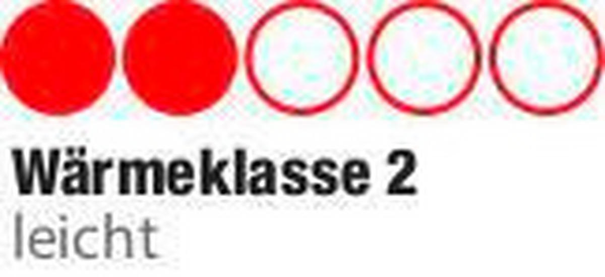 Steppbett Leichtsteppbett Tulpen 135x200cm - rot/silber (135,00/200,00cm)