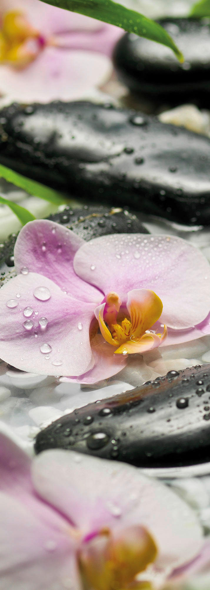 Komar Fototapete Wellness B/L: ca. 100x280 cm Wellness - (100,00/280,00cm) - Komar