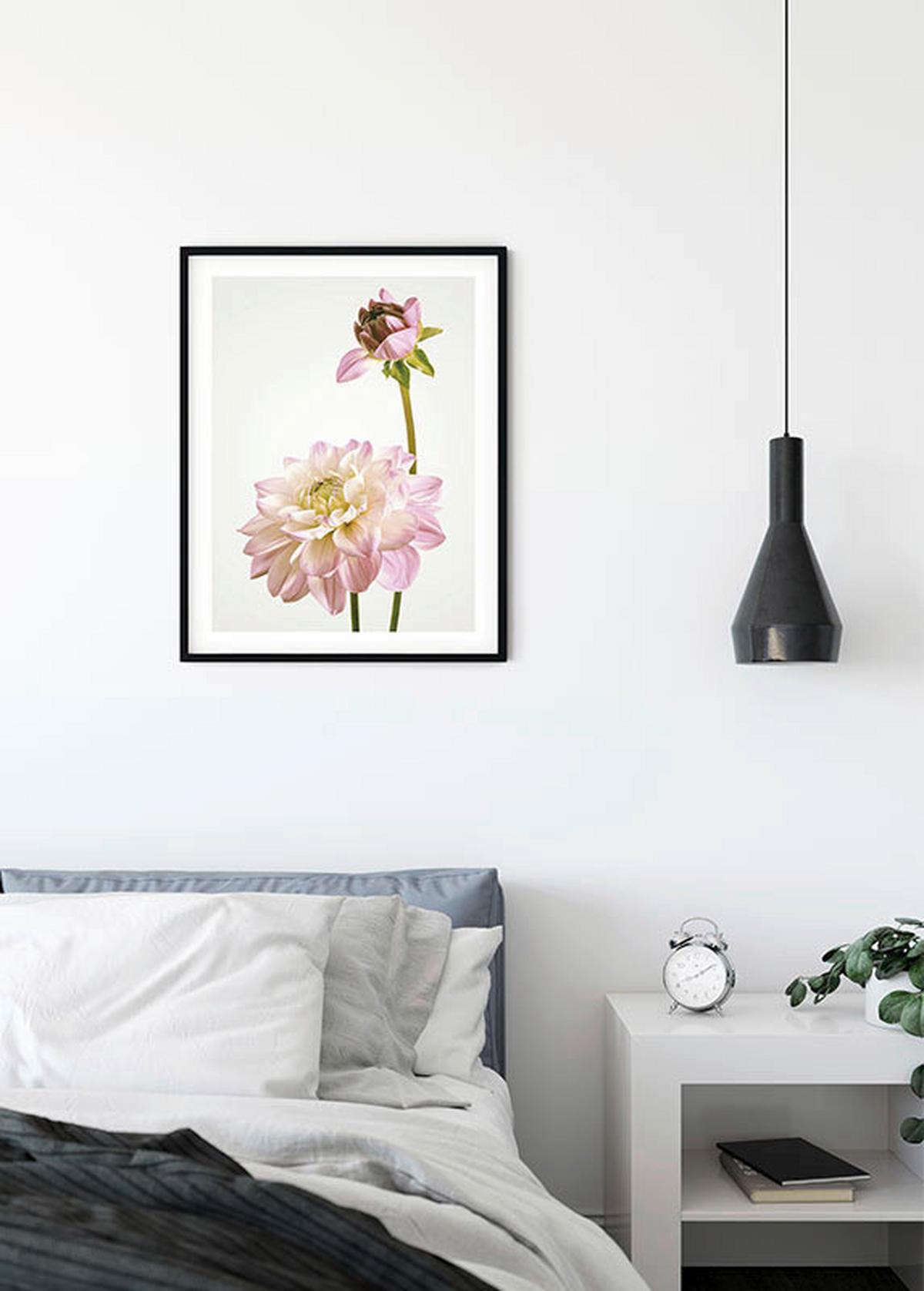 Komar Poster Dahlia Blumen B/L: ca. 40x50 cm Dahlia - (40,00/50,00cm) - Komar