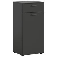 Schuhschrank Delton Basalt Nachbildung B/H/T: ca. 53x37x43 cm Delton - Basalt (53,00/37,00/43,00cm) - xonox.home