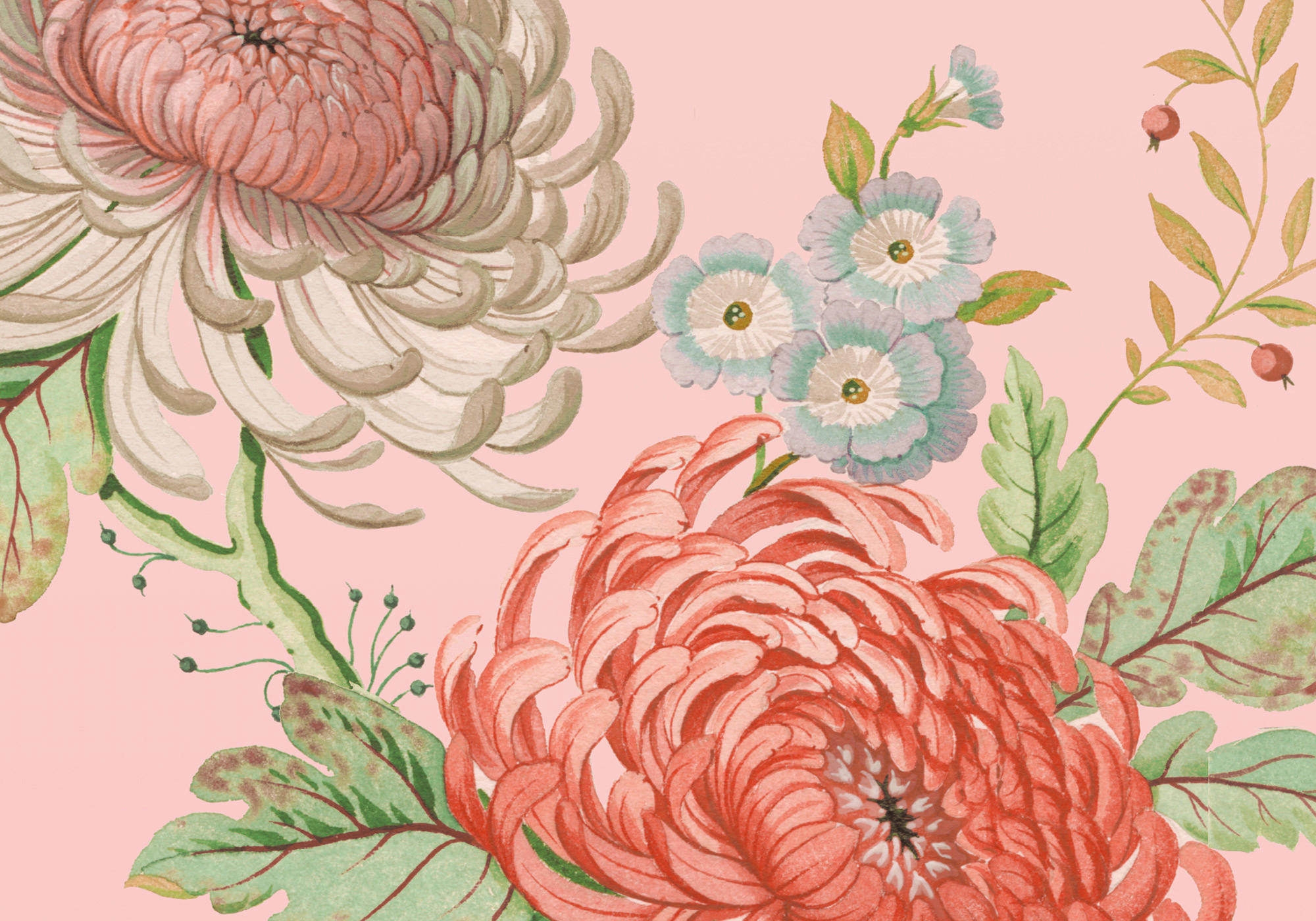 Komar Fototapete Primavera B/L: ca. 400x280 cm Primavera - (400,00/280,00cm) - Komar