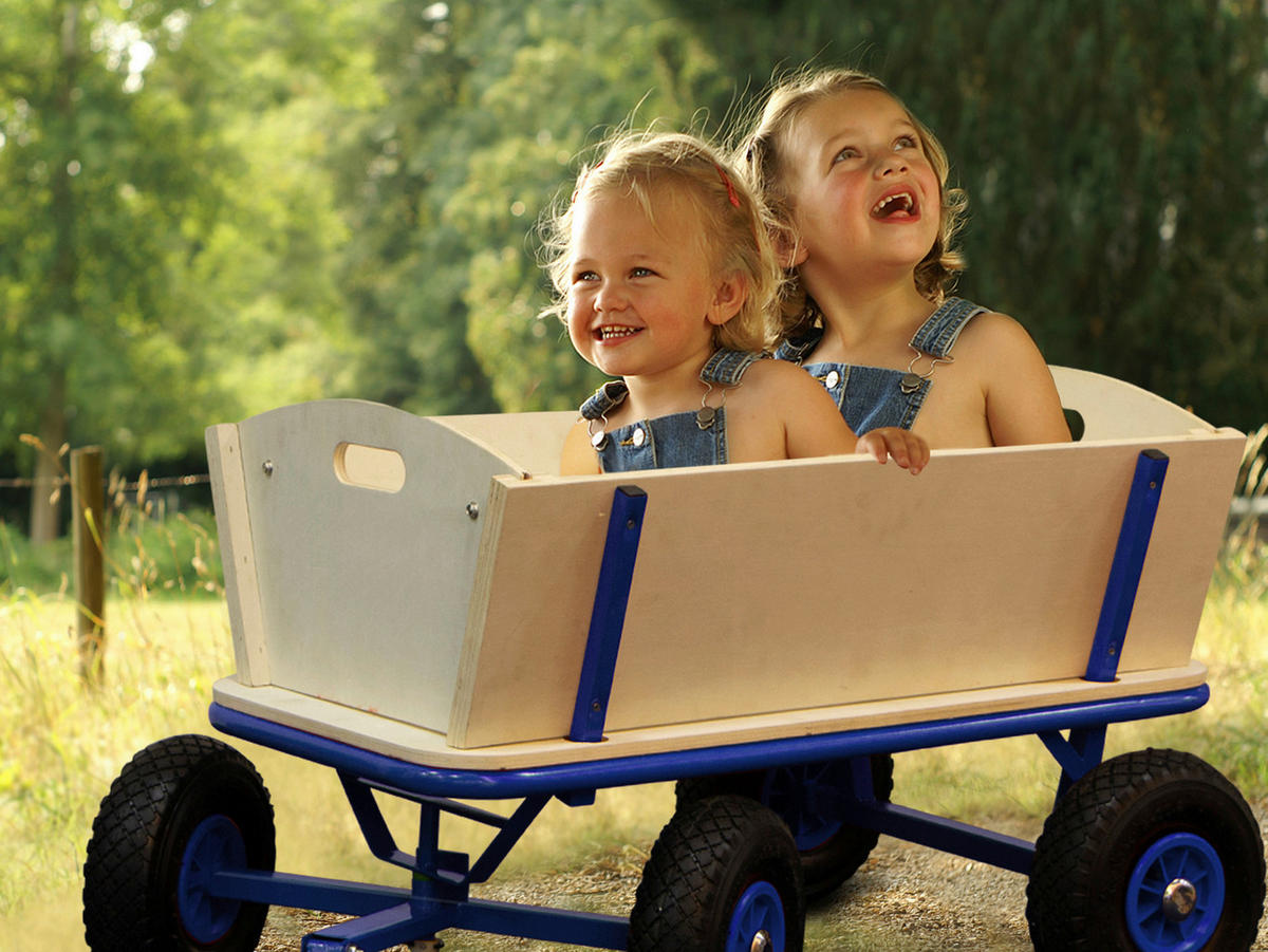 Sunny Bollerwagen Billy Beach blau B/H/L: ca. 61x97x95 cm Billy Beach - blau/natur (95,00/61,00/97,00cm) - Sunny