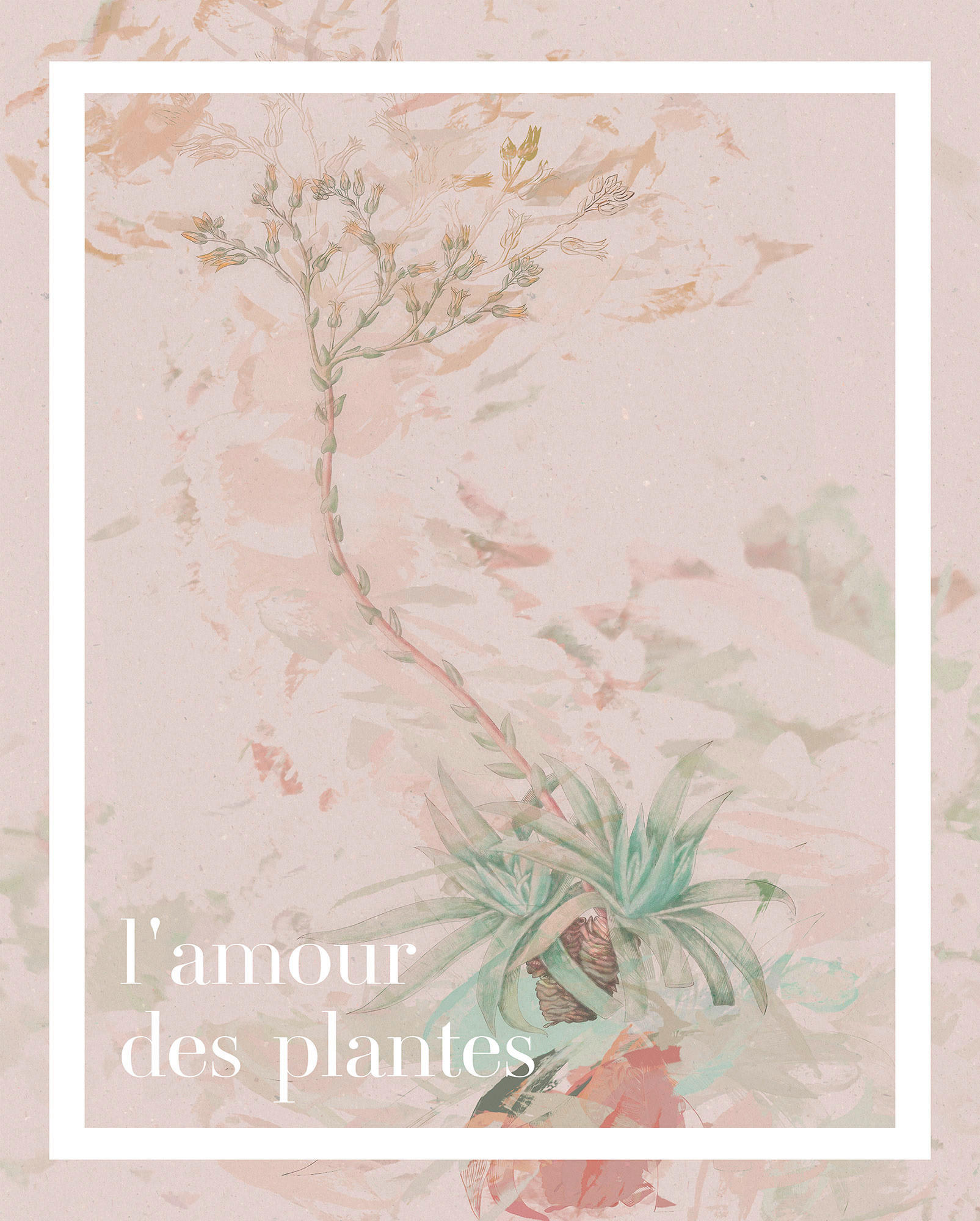 Komar Poster L'amour des plantes Spruch B/L: ca. 40x50 cm