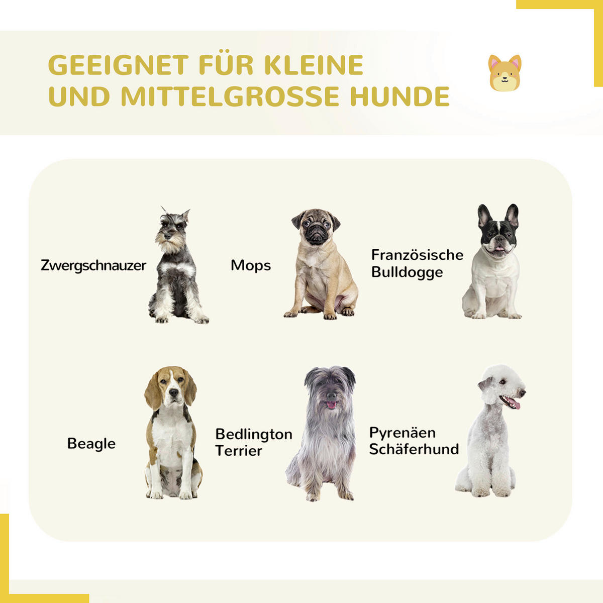 PawHut Gehege grau Edelstahl B/H/L: ca. 320x320x100 cm Freigehege - grau (100,00/320,00/320,00cm) - PawHut