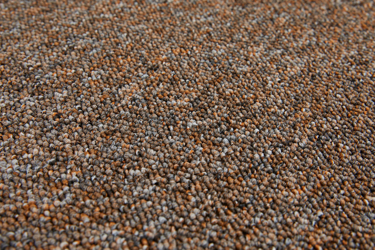 Teppichboden Rico mokka B/L: ca. 200x300 cm pro Stück Rico - mokka (200,00/300,00cm)