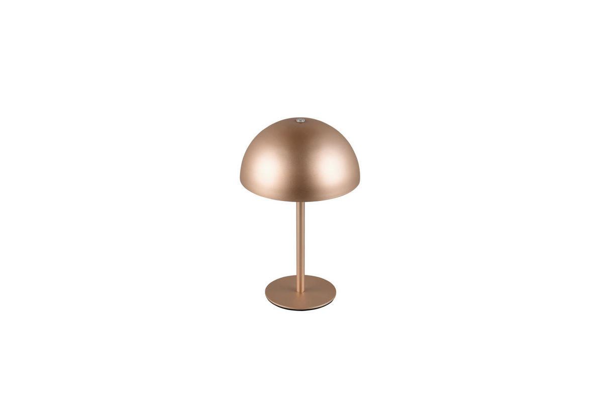 Reality LED Tischleuchte MUNOZ kaffee Metall H: ca. 21 cm 1 Brennstellen Munoz - kaffee (21,00cm) - Reality