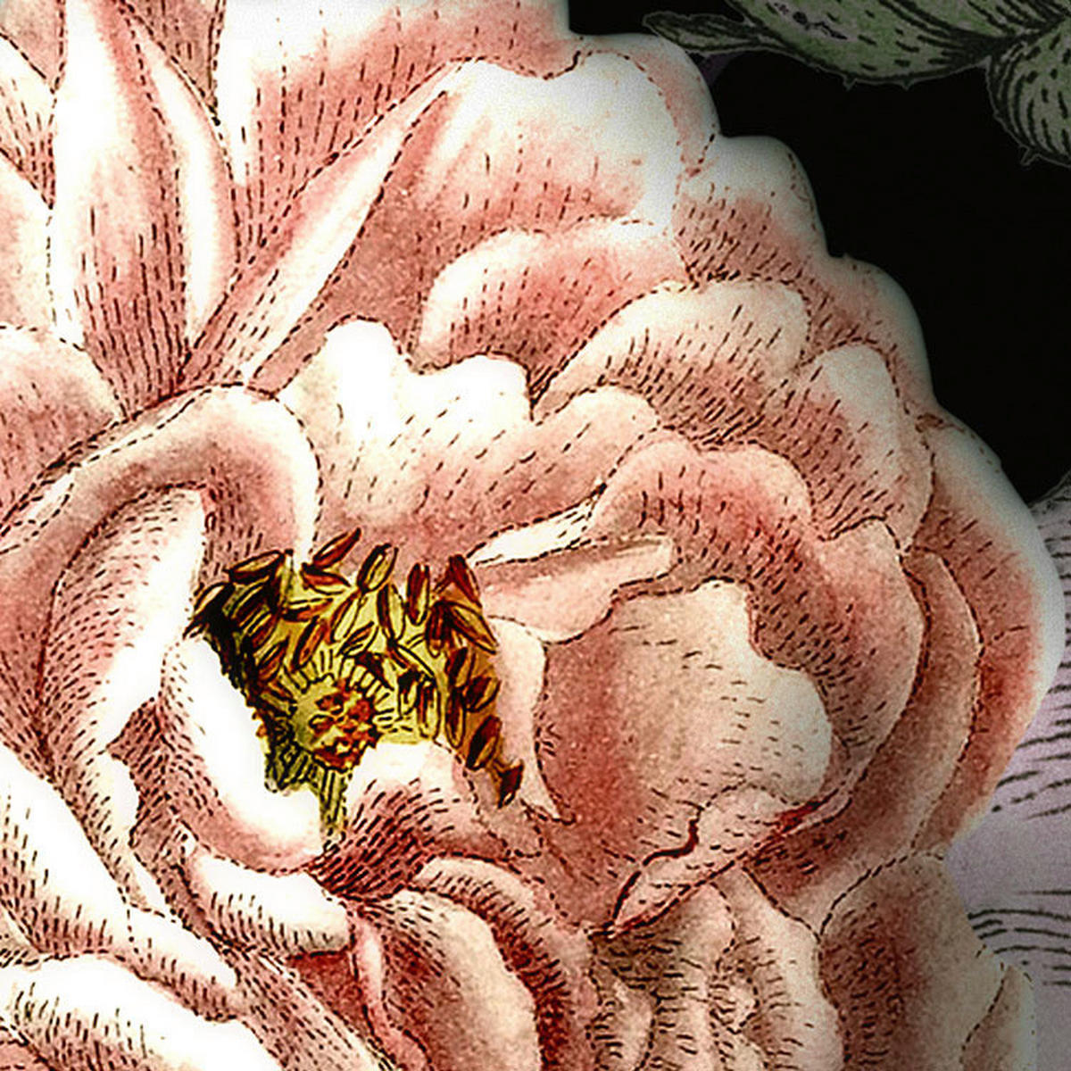 Komar Fototapete Victoria Black B/L: ca. 400x250 cm Victoria Black - (400,00/250,00cm) - Komar